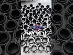 Mg1 기계 밀폐 ABS 펌프 유형 물 / 오일 펌프에 대한 기계 밀폐