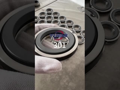 301 단일 스프링 기계 밀폐 (Aesseal B01, Bt-Ar, Flowserve 118, Mut Fa를 사이클란 B01에 교체)